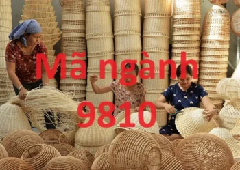 Mã ngành 9810 là gì?