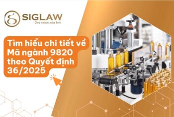 Mã ngành 9820 hoạt động sản xuất dịch vụ tự tiêu dùng của hộ gia đình