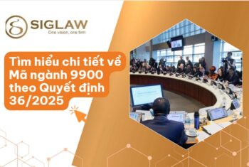 Mã ngành 9900 Hoạt động của các tổ chức và cơ quan quốc tế