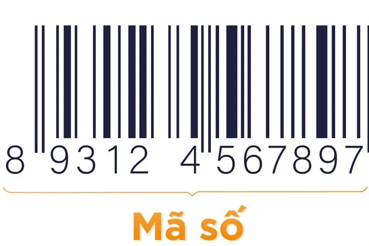 Hồ sơ & thủ tục đăng ký mã số, mã vạch