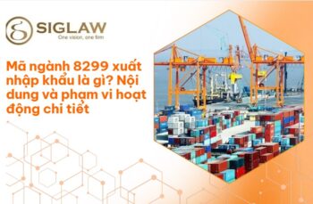 Mã ngành 8299 là gì? Quy định, phạm vi hoạt động và điều kiện đăng ký
