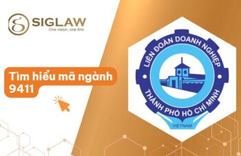 Mã Ngành 9411 Hoạt Động Của Các Hiệp Hội Kinh Doanh Và Nghiệp Chủ