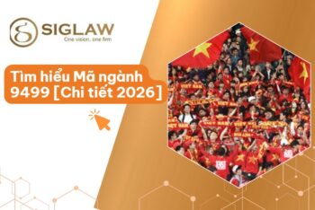 Mã ngành 9499 Hoạt động của các tổ chức khác chưa được phân vào đâu