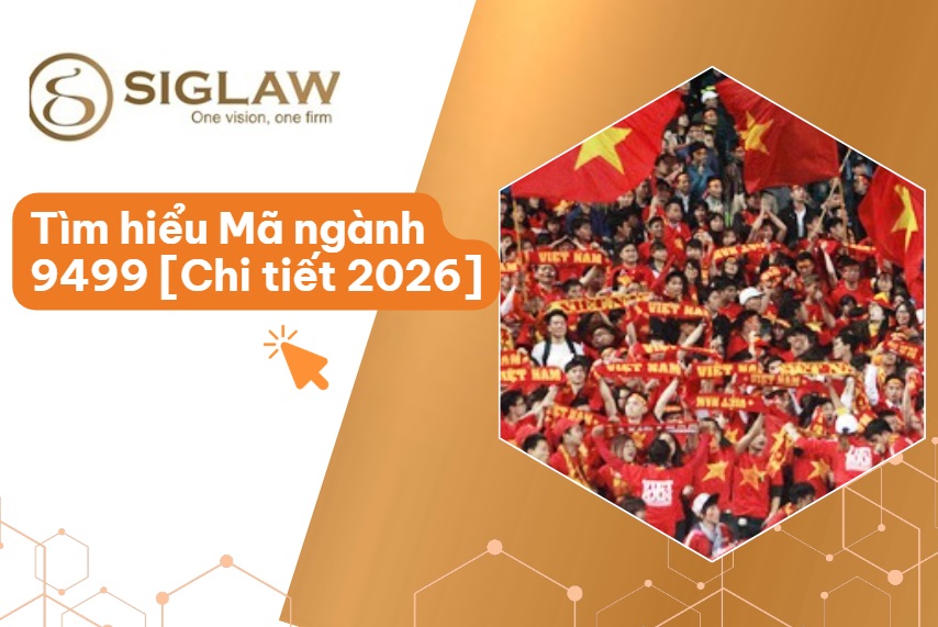 Mã ngành 9499 Hoạt động của các tổ chức khác chưa được phân vào đâu