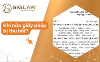 Khi nào bị thu hồi giấy phép mạng xã hội? [Cập nhật 2026]