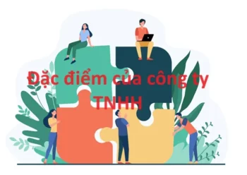 Công ty trách nhiệm hữu hạn có đặc điểm gì?