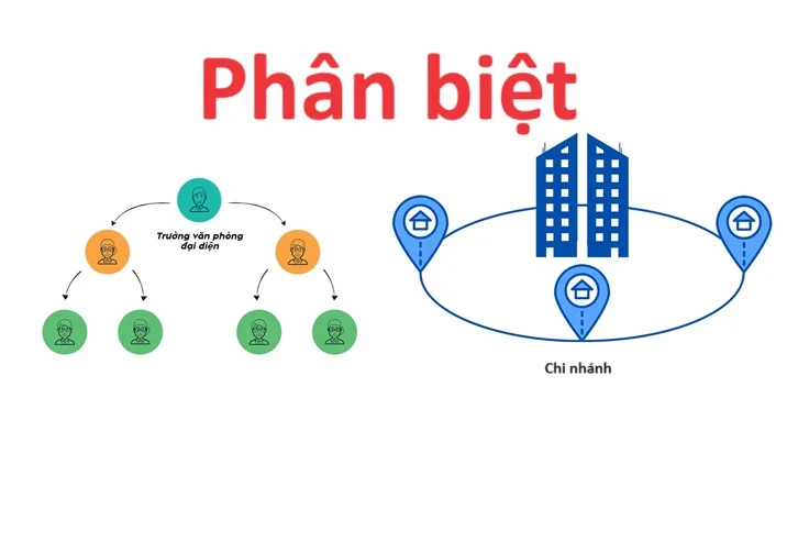 Phân biệt chi nhánh với VPĐD