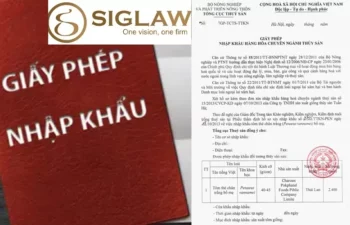 Giấy phép nhập khẩu