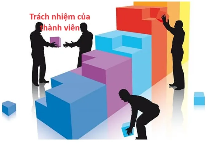 Thành viên công ty TNHH có trách nhiệm gì?