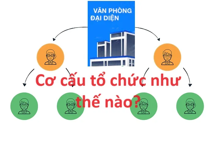 Văn phòng đại diện có cơ cấu tổ chức như thế nào?