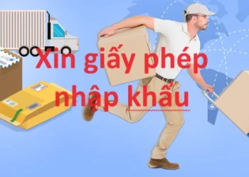 Các loại hàng hóa phải xin giấy phép nhập khẩu