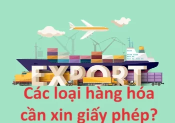 Giấy phép xuất khẩu là gì?