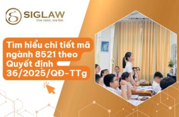 Mã ngành 8521 Giáo dục tiểu học [Mới nhất 2026]