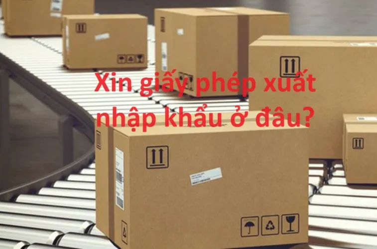 Xin giấy phép xuất nhập khẩu ở đâu?