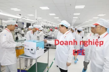 Doanh nghiệp EPE là gì? Ưu đãi & Cách thành lập DN EPE