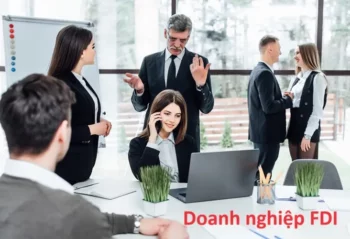 Doanh nghiệp FDI là gì? Đặc điểm & Điều kiện thành lập DN FDI