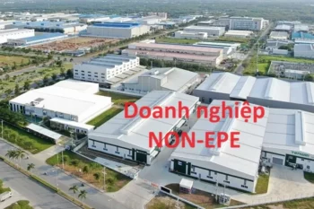 Doanh nghiệp Non – EPE là gì? Các loại hình & Ưu, nhược điểm