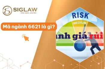 Mã ngành 6621 Đánh giá rủi ro và thiệt hại [Cập nhật 2026]