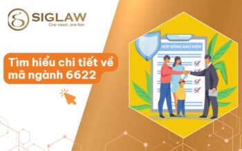 Mã ngành 6622 Hoạt động của đại lý và môi giới bảo hiểm