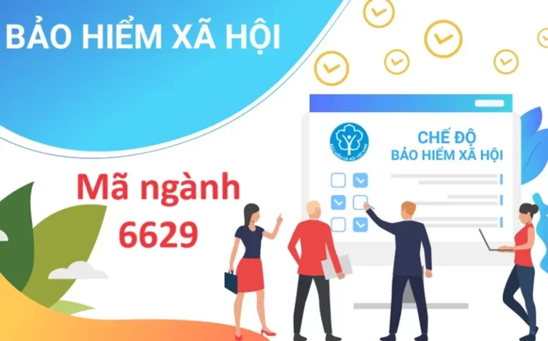 Mã ngành 6629: Hoạt động hỗ trợ khác cho BH & BHXH