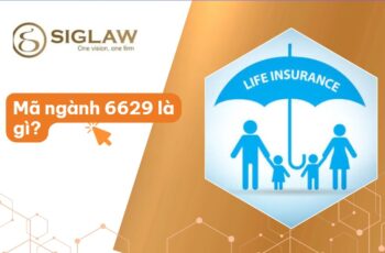 Mã ngành 6629 Hoạt động hỗ trợ khác cho bảo hiểm & Quỹ hưu trí