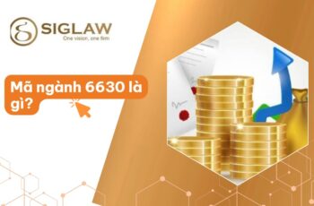 Mã ngành 6630 Hoạt động quản lý quỹ (đầu tư, hưu trí...)