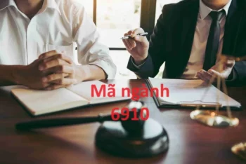 Mã ngành 6910: Hoạt động pháp luật