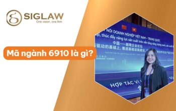 Mã ngành 6910 Hoạt động pháp luật, đại diện tư vấn pháp lý