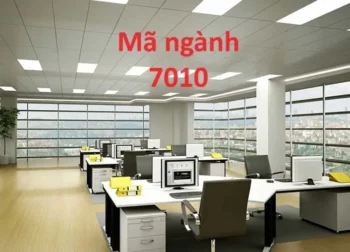 Mã ngành 7010 - Hoạt động của trụ sở văn phòng