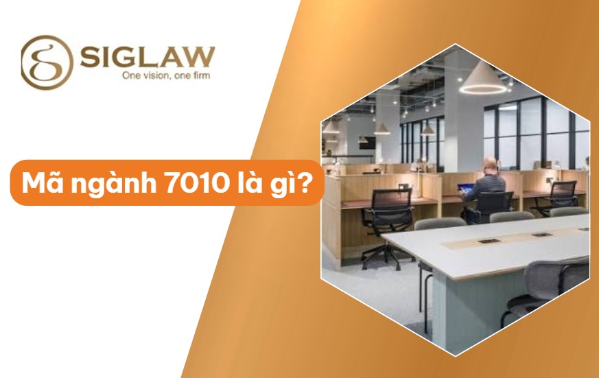 Mã ngành 7010 Hoạt động của trụ sở văn phòng Mã ngành 7010 Hoạt động của trụ sở văn phòng