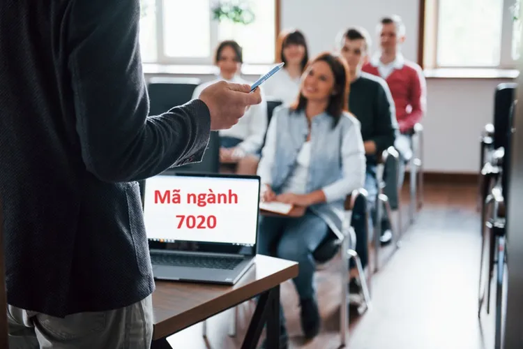 Mã ngành 7020: Hoạt động tư vấn quản lý