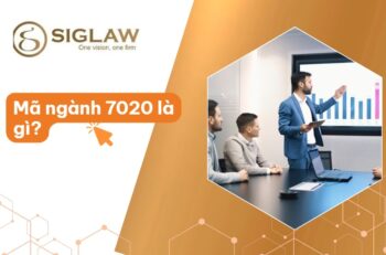 Mã ngành 7020 Tư vấn quản lý kinh doanh, Tư vấn quản lý khác