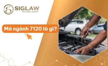 Mã ngành 7120 Kiểm tra và Phân tích Kỹ thuật