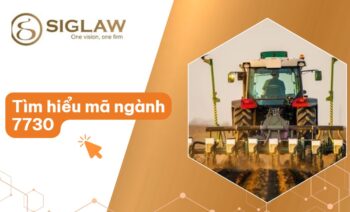 Mã ngành 7730 Cho thuê máy móc, thiết bị hữu hình không kèm người điều khiển