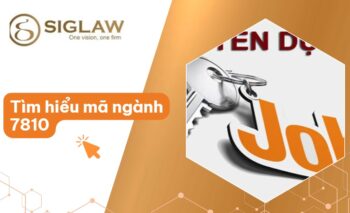 ma nganh 7810 la gi Mã ngành 7810 Hoạt động của các trung tâm giới thiệu việc làm
