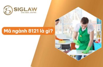 Mã ngành 8121 Vệ sinh chung nhà cửa (Văn phòng, cửa hàng...)