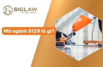 Mã ngành 8129 Dịch vụ vệ sinh khác (Công trình, tòa nhà...)