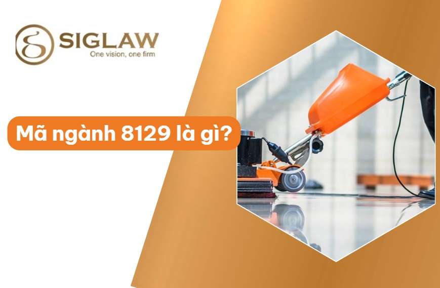 Mã ngành 8129 Dịch vụ vệ sinh khác (Công trình, tòa nhà...)