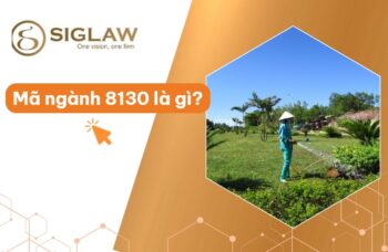 Mã ngành 8130 Dịch vụ cảnh quan, cây xanh tòa nhà...