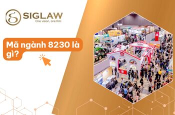 Mã Ngành 8230 Tổ chức giới thiệu và xúc tiến thương mại