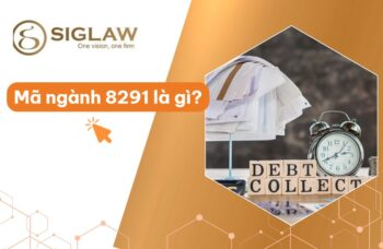 Mã Ngành 8291 Dịch Vụ Hỗ Trợ Thanh Toán, Tín Dụng