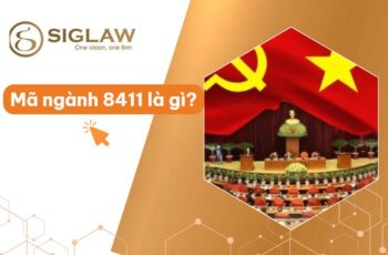 Mã ngành 8411 Hoạt động của Đảng Cộng sản, tổ chức chính trị - xã hội