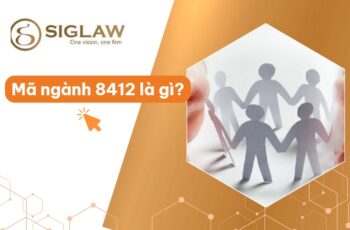 Mã ngành 8412 Hoạt động quản lý nhà nước về y tế, giáo dục...
