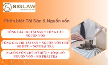 Phân biệt tài sản & nguồn vốn của doanh nghiệp [Mới 2026]