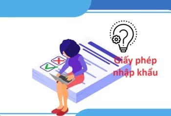 Quy trình cấp giấy phép nhập khẩu