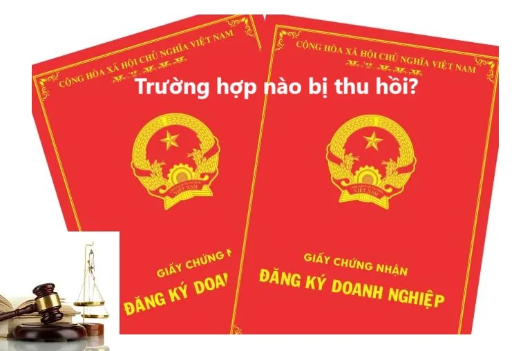 Các trường hợp bị thu hồi Giấy chứng nhận đăng ký doanh nghiệp