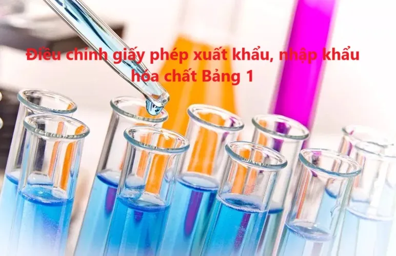 Điều chỉnh giấy phép xuất khẩu, nhập khẩu hóa chất Bảng 1