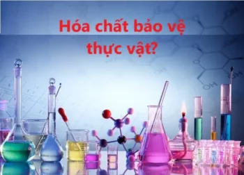 Giấy phép vận chuyển hóa chất bảo vệ thực vật