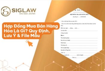 Mẫu Hợp Đồng Mua Bán Hàng Hóa Và Các Quy Định, Lưu Ý [2026]
