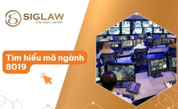 Mã ngành 8019 Dịch vụ bảo đảm an toàn khác